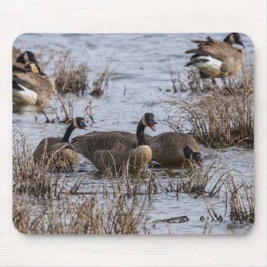 移動 マウスパッド (正面)