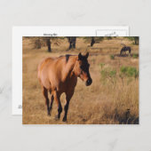 移動 案内ポストカード (正面/裏面)