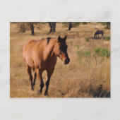 移動 案内ポストカード (正面)