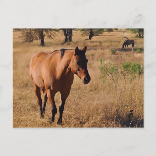 移動 案内ポストカード (正面)