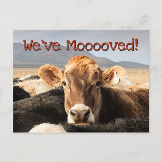 移動 案内ポストカード (正面)