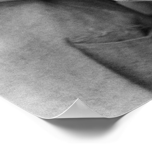 移民の母 ポスター (角)