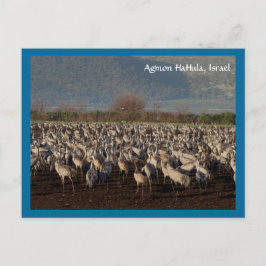 移行する鳥はがき ポストカード