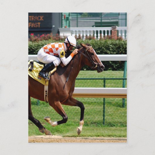 移行,ゴール成功の競馬 ポストカード (正面)