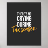 税期の会計士 ポスター (正面)