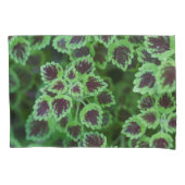 種々のコレウスの葉を打つ 枕カバー (正面)