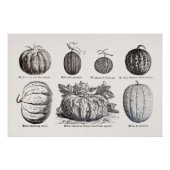 種々のメロン ポスター (正面)