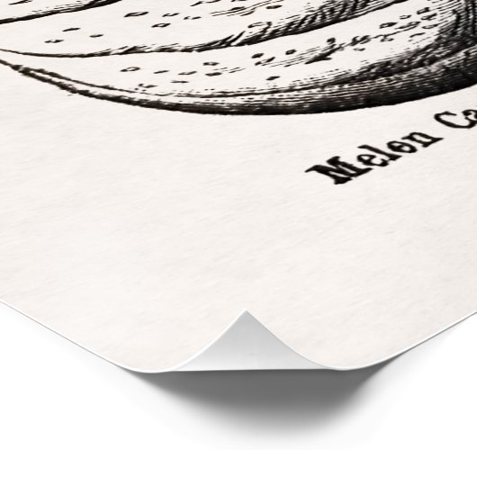 種々のメロン ポスター (コーナー)