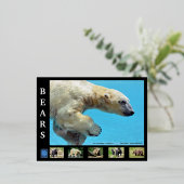 種々の熊 箔シーズンポストカード (立ち正面)