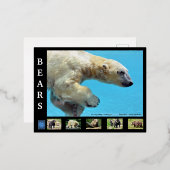 種々の熊 箔シーズンポストカード (正面/裏面)