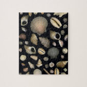 種々の貝 ジグソーパズル (縦)