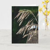 種に行った草 カード (黄色い花)