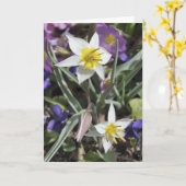 種のチューリップの母の日カード カード (黄色い花)