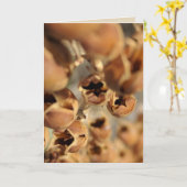 種のポッドの空白のなカード カード (黄色い花)