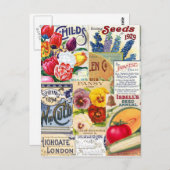 種の包み ポストカード (正面/裏面)