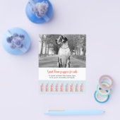 種の子犬を売る チラシ (シングル)