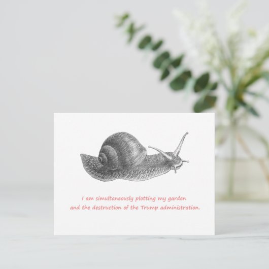 種の播種と痩身トランプに対する異議の播種 ポストカード (スタンド正面)