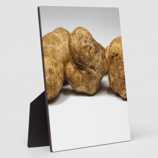 種の白トリュフ塊茎のオリゴマー。 フォトプラーク (側面)