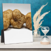 種の白トリュフ塊茎のオリゴマー。 フォトプラーク (側面)