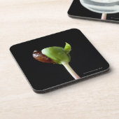 種の貝を持つAppleの実生植物 コースター (左側)