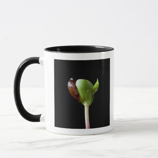 種の貝を持つAppleの実生植物 マグカップ (左)