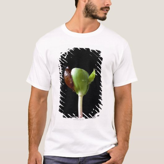 種の貝を持つAppleの実生植物 Tシャツ (正面)
