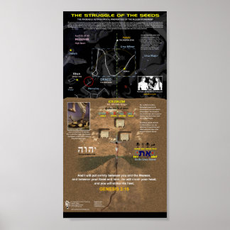 種の闘い ポスター