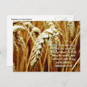 種まく者のたとえのポストカード ポストカード (正面/裏面)