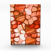 種や珊瑚色、赤などの丸いネベの形 フォトブロック (正面)