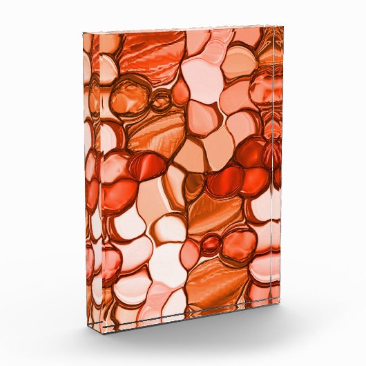 種や珊瑚色、赤などの丸いネベの形 フォトブロック (左)