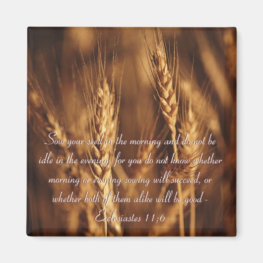 種をまきなさい…-マグネット マグネット (正面)