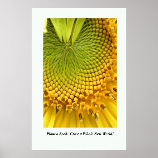 種を植える。新しい世界を育てろ！ポスター24x36 ポスター (正面)