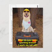 種スポーツの類? ポストカード (正面/裏面)