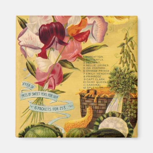 種品種磁石 マグネット (正面)