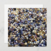 種子の豊富さ シーズンカード (正面/裏面)