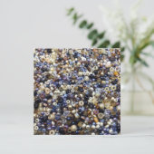 種子の豊富さ シーズンカード (スタンド正面)