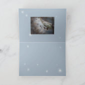 種子4明日 カード (内部)