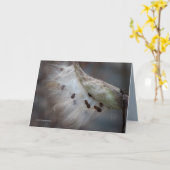 種子4明日 カード (黄色い花)