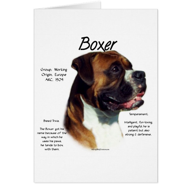 種族に会う (正面)