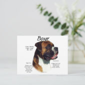 種族に会う ポストカード (スタンド正面)