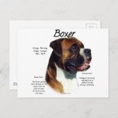 種族に会う ポストカード (正面/裏面)