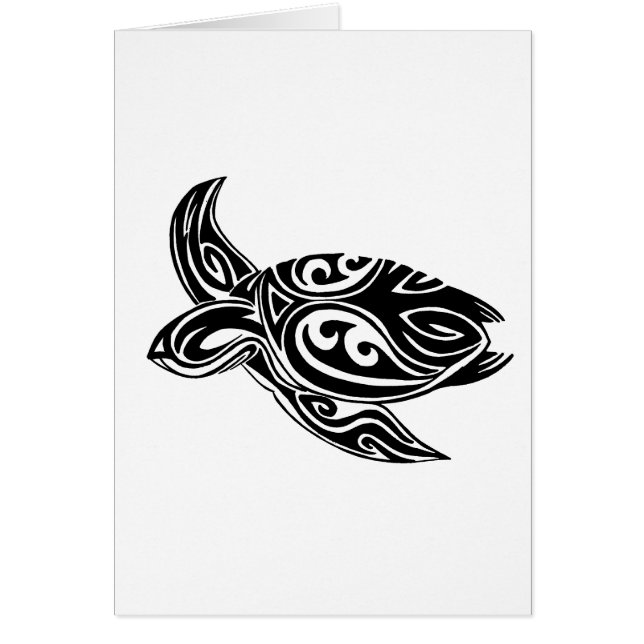 種族のカメ (正面)