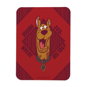 種族のグラフィックいるScooby-Doo マグネット