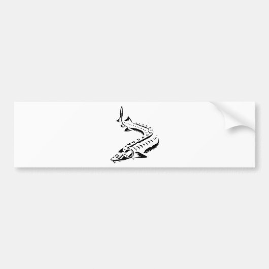 種族の新しい バンパーステッカー (正面)