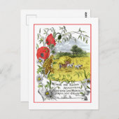 種苗と収穫葉書 ポストカード (正面/裏面)