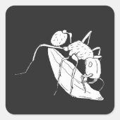 種鞘🐜アリ スクエアシール (正面)