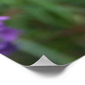 種鞘ポスター ポスター (角)