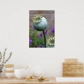 種鞘ポスター ポスター (キッチン)