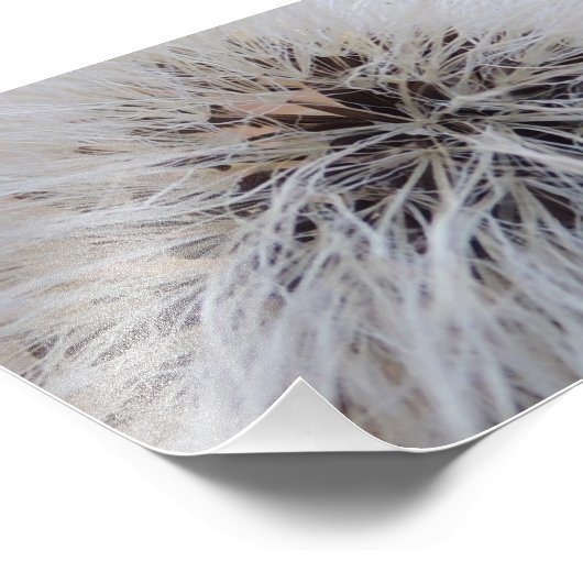 種鞘 フォトプリント            (角)