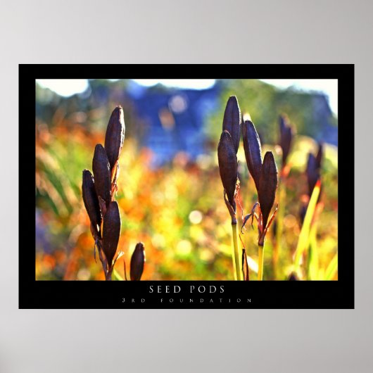 種鞘 ポスター (正面)